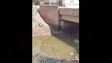 غلق كوبري الصوفية في الشرقية (3)
