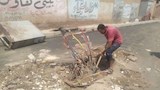الجيزة تستجيب لشكاوى المواطنين وتنفذ حملات نظافة وصيانة بعدة مناطق