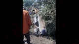 إصابة 5 أشخاص إثر سقوط سيارة أجرة بترعة في بنها (1)