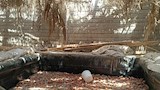 عمال سقطوا في بيارة مصنع مخلل بالمنيا (2)