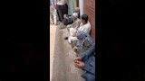 معاناة مزارعي البحيرة لصرف الأسمدة الزراعية.._