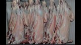 الخراف المذبوحة المضبوطة فى أسوان