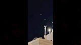 ظهور نور مضيء وحمامة حول تمثال العذراء بدير درنكة