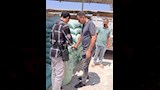 الحملات التموينية (4)