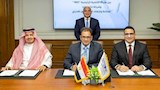 باستثمارات 50 مليون دولار.. مشروع "مصري - سعودي" لألواح الكلادينج بالسخنة