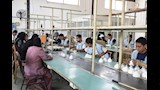 العاملون بمصنع الأدوات الكهربائية٢