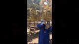 كيف تتحول عناقيد المنيا إلى زبيب للتصدير؟ (12)
