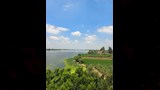 استجابة لـ مصراوي.. نجاح تطهير فرع رشيد من ورد النيل في كفر الشيخ- صور
