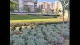 تطوير العبور والشروق وبدر (3)