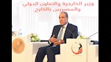 الخارجية تكشف تفاصيل خطة تطوير الخدمات المقدمة للمصريين بالخارج