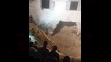 البحث عن الجثمان (3)