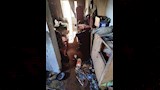 حريق يلتهم محتويات شقة سكنية بالمنيا الجديدة (4)