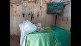 ضريح الشيخ حشاش بوادي الصهو (1)