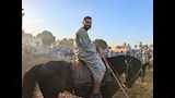 طقوس الفروسية في صعيد مصر (4)