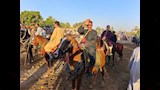طقوس الفروسية في صعيد مصر (5)