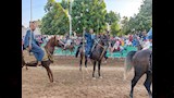 ليه "المرماح" مش مجرد سباق خيل؟.. أسرار وطقوس الفروسية في صعيد مصر (فيديو وصور)