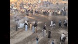 طقوس الفروسية في صعيد مصر (2)