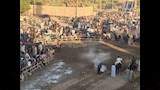 طقوس الفروسية في صعيد مصر (3)