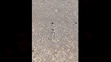 بقايا زجاج مهشم_4_5
