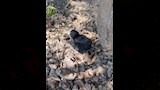 حقيبة طعام_5_6