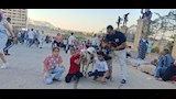 خراف مزينة بالورود ونذور وفاء.. مشاهد مميزة من احتفالات دير درنكة بأسيوط  (3)