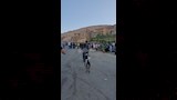 خراف مزينة بالورود ونذور وفاء.. مشاهد مميزة من احتفالات دير درنكة بأسيوط  (9)
