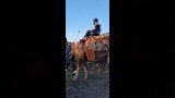 مشجع طرابزون بالملابس الفرعونية