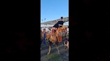 مشجع طرابزون بالملابس الفرعونية