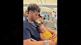 زوجة إمام عاشور (4)