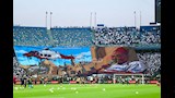 جماهير الزمالك (5)