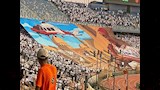 جماهير الزمالك (7)