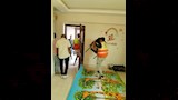 جهاز حدائق أكتوبر يشن حملات مكثفة لضبط المخالفات (4)
