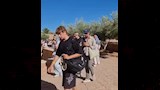 اقبال سياحي على سانت كاترين 