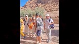 اقبال سياحي لزيارة المعالم التاريخية 
