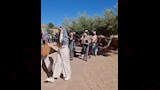 توافد السائحين 