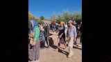 زوار المدينة 