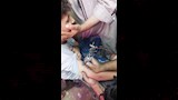 «أم النور» على الأكتاف والأيدي (11)