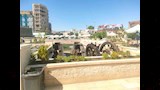 ماذا يحدث لسواقي الفيوم التاريخية؟ (3)