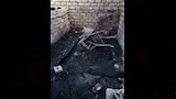 النيران تلتهم حوش مواشي في إسنا بالأقصر (3)