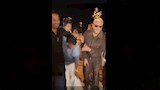 رامز جلال بيكهرب محمد سامي
