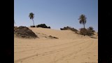عين مكفي  (7)