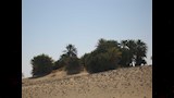 عزيب الحفر  (5)