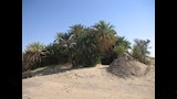 عزيب الحفر  (1)