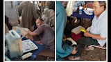 تسليم 133 رأس أغنام وماعز لـ64 أسرة ضمن مشروعات التمكين الاقتصادي بأسيوط