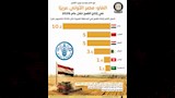 محصول القمح