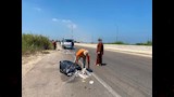 ضبط سيارة تلقي المخلفات بالطريق العام في بورسعيد٤