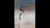 معاينة الري الأولى أنكرت تسريب الترعة