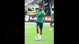 كهربا (1)