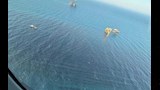 تسرب بترولي 