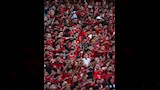 جماهير الأهلي (10)